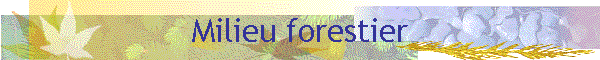 Milieu forestier