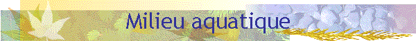 Milieu aquatique