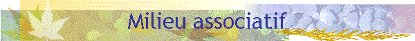 Milieu associatif
